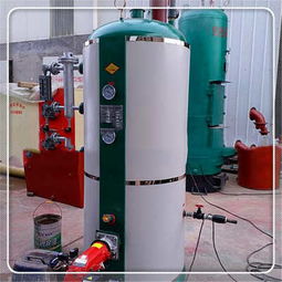 新聞 四川省宜賓市生物質蒸汽發(fā)生器廠家