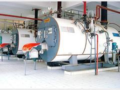 選購價格優(yōu)惠的江門燃油燃氣臥式立式蒸汽鍋爐就選雄獅鍋爐|優(yōu)質的江門燃氣蒸汽鍋爐(江門燃油燃氣臥式)--廣州市花都區(qū)雄獅鍋爐營業(yè)部