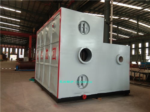 【化工廠蒸汽加熱壓力容器25噸szs燃?xì)庹羝仩t】- 