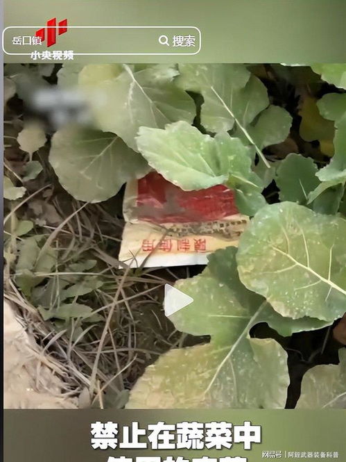 云南‘毒紅薯’事件升級 調查組介入深挖產業鏈，商戶‘主動投毒’背后的黑幕浮出水面